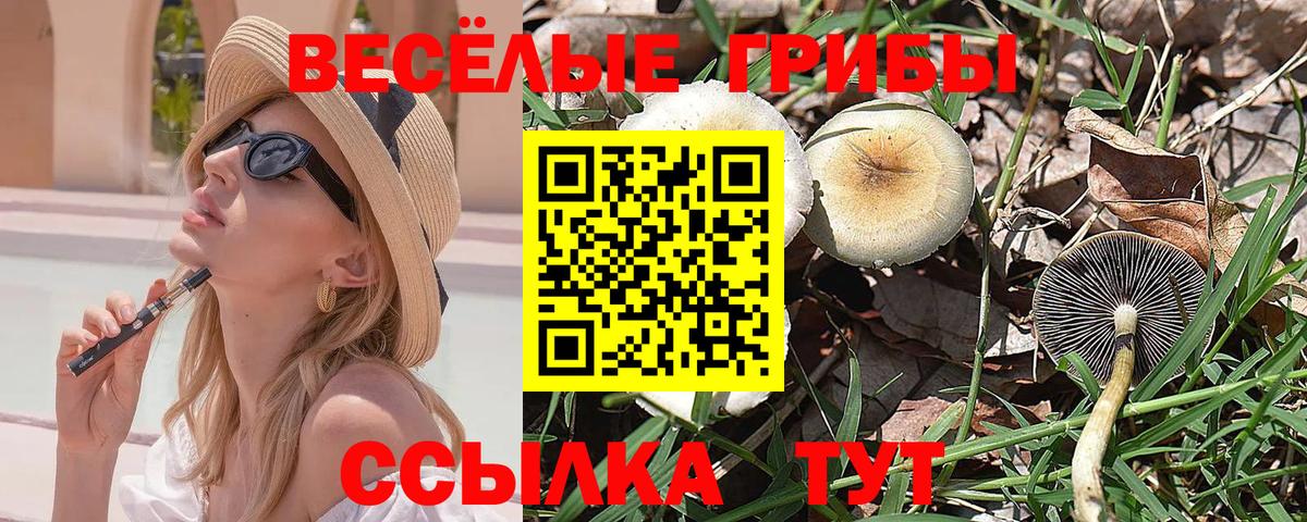Шадринск  Галлюциногенные грибы ЛСД  Вход с VPN 